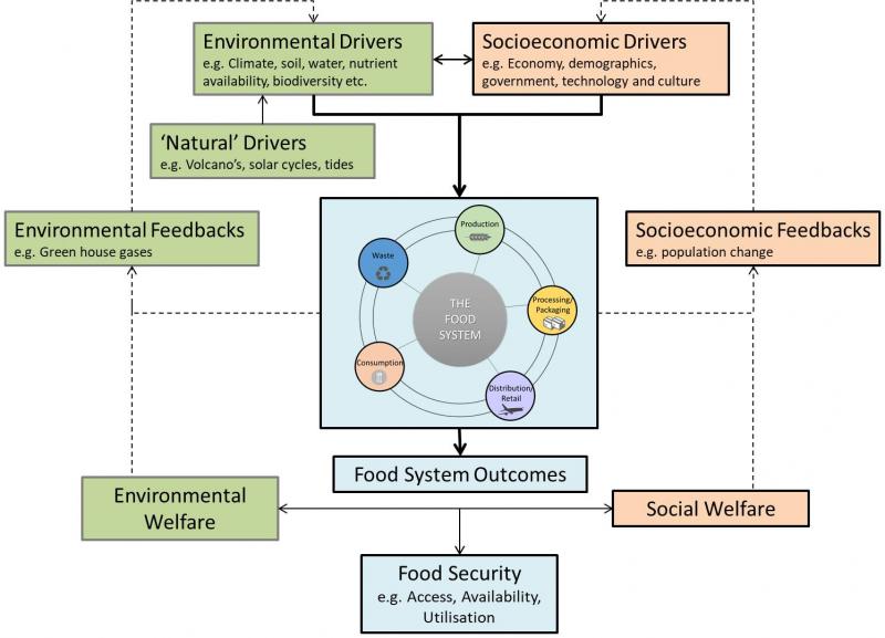 food system