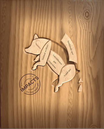 Harriet bartlett pork farms credit liliana resende 2 A wooden pig with four removable elements labeled animal welfare, greenhouse gas emissions, antibiotic use, and land use