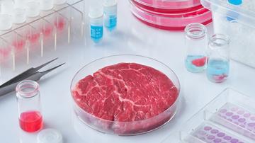 lab meat adobestock