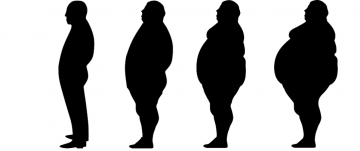 Obesity obesity