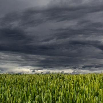 clouds 194840