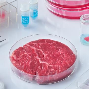 lab meat adobestock