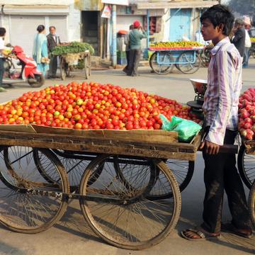 Street trading 2550271 street trading 2550271