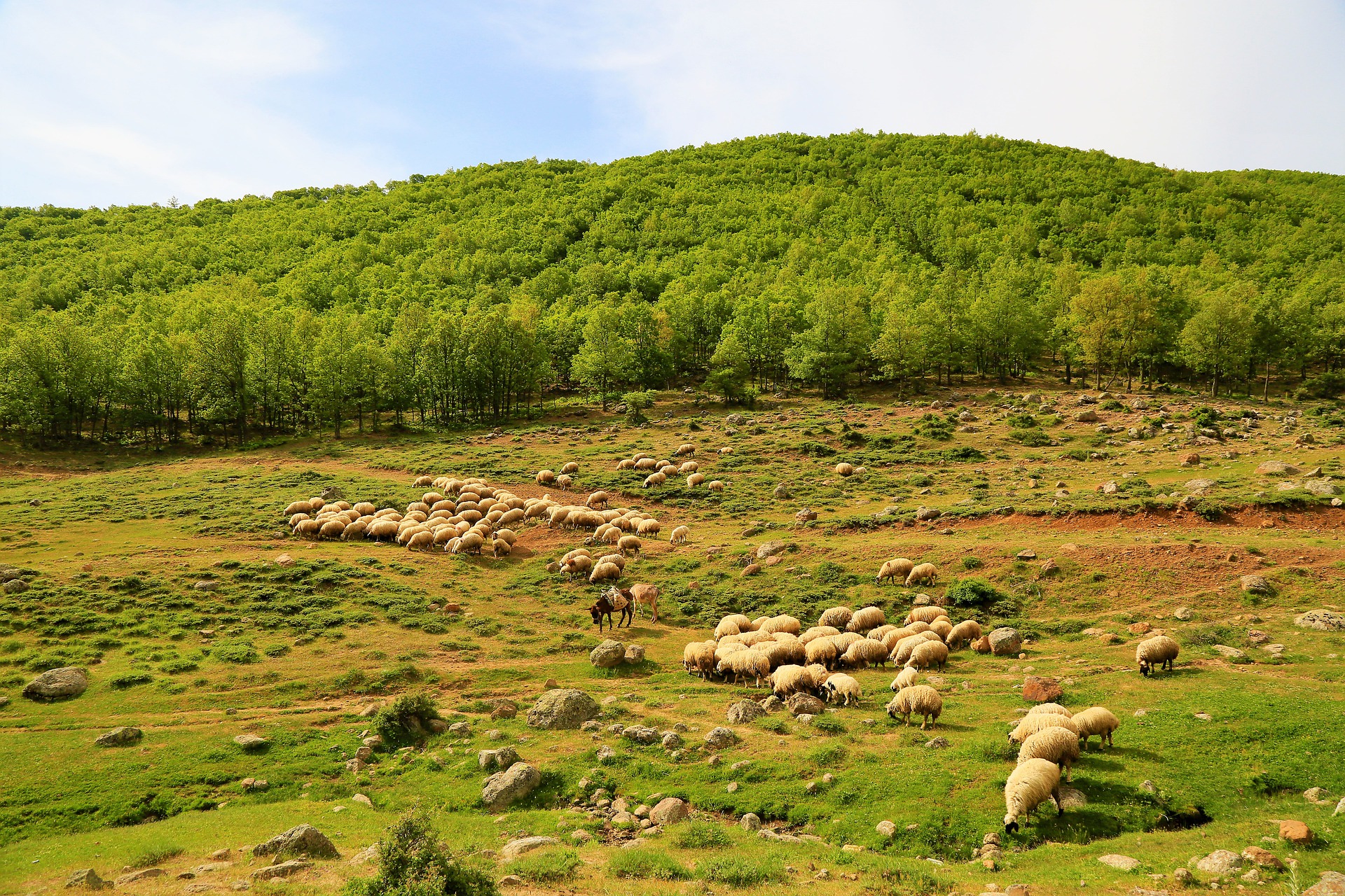 Food security in focus in the IPCC Special Report on Climate Change and ...