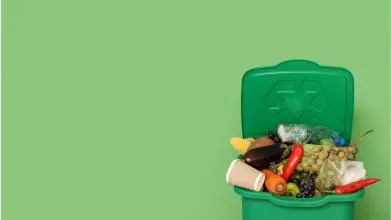 A green background with a green bin filled with fruits, vegetables, and a coffee cup, on the right