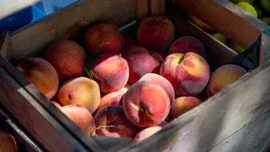 peaches 2892013
