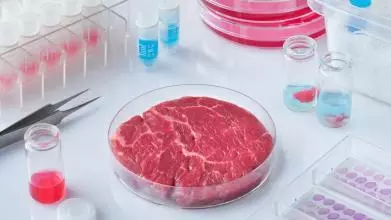 lab meat adobestock