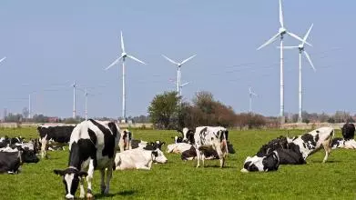 east frisia 1302894