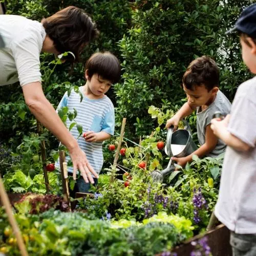 Children stand around a green space where tomatoes are visible. A teacher leans over, pointing at something.
