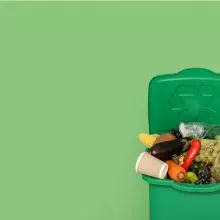 A green background with a green bin filled with fruits, vegetables, and a coffee cup, on the right