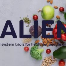 Salient project logo showing a brown bag of groceries 