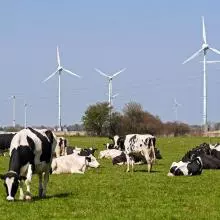 east frisia 1302894