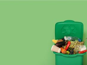 A green background with a green bin filled with fruits, vegetables, and a coffee cup, on the right