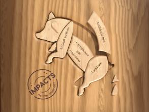 A wooden pig with four removable elements labeled animal welfare, greenhouse gas emissions, antibiotic use, and land use