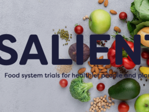 Salient project logo showing a brown bag of groceries 