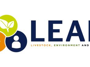 leap primary logo