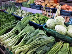 market 3176255