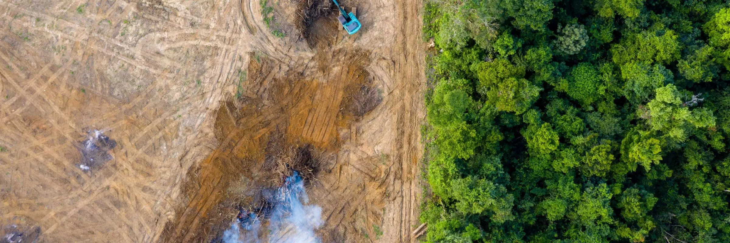 The picture shows a rainforest of green trees on the right and a sparse, brown landscape on the left. There is smoke in the brown landscape and a blue tractor. 