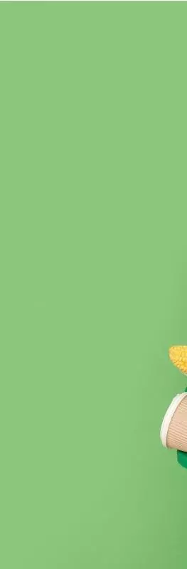 A green background with a green bin filled with fruits, vegetables, and a coffee cup, on the right