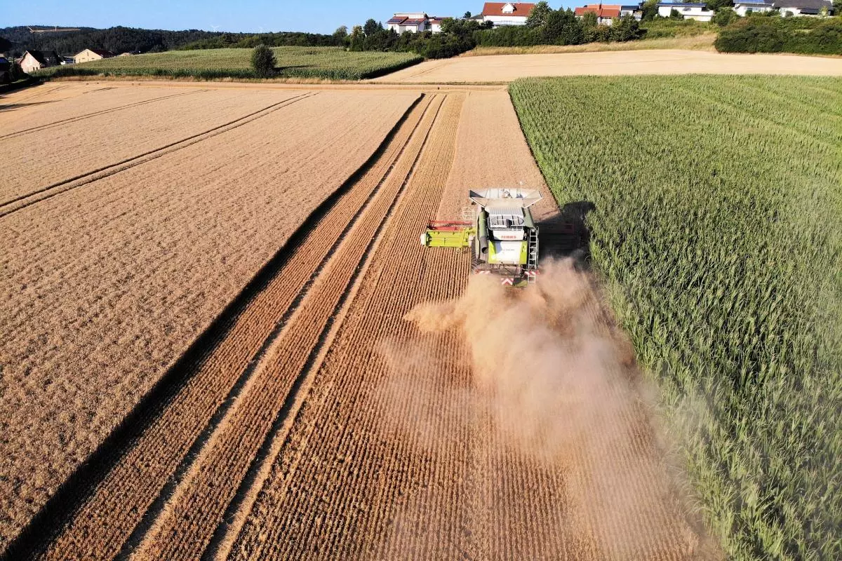 harvest 3581239